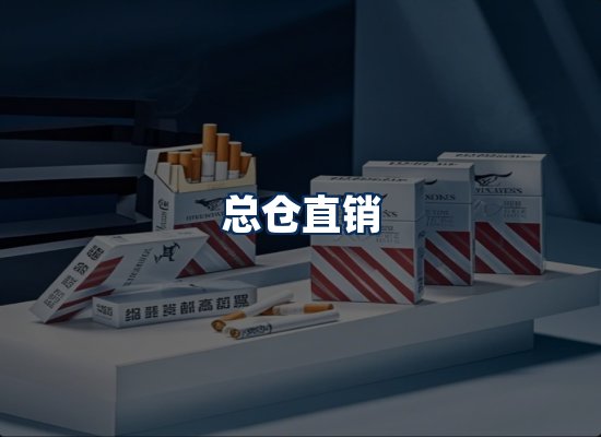 专业团队办公环境